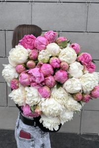 Пионы