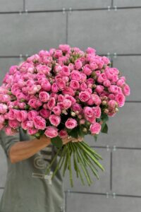 «КУСТОВАЯ РОЗА РОЗОВАЯ»